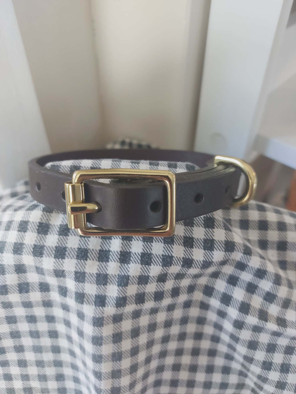 Dog collar
