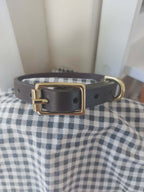 Dog collar