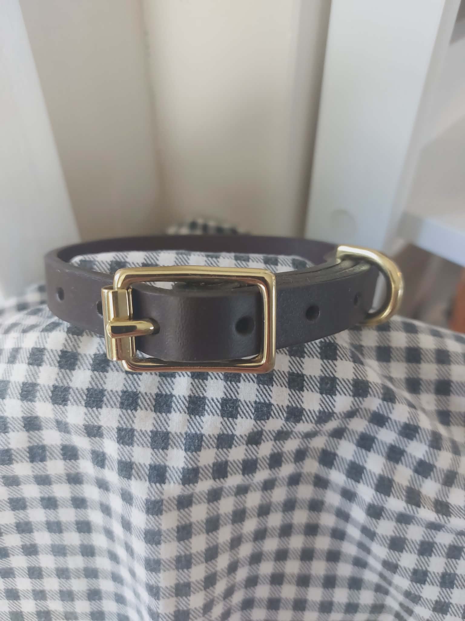 Dog collar