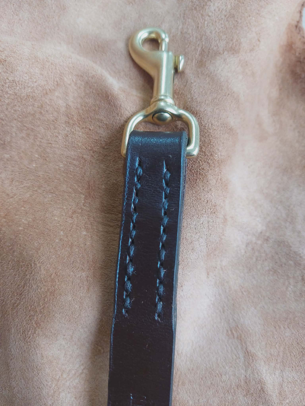 Dog leash