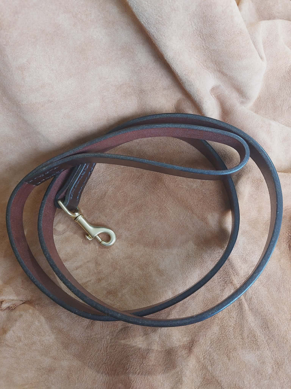 Dog leash