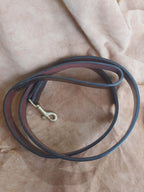 Dog leash