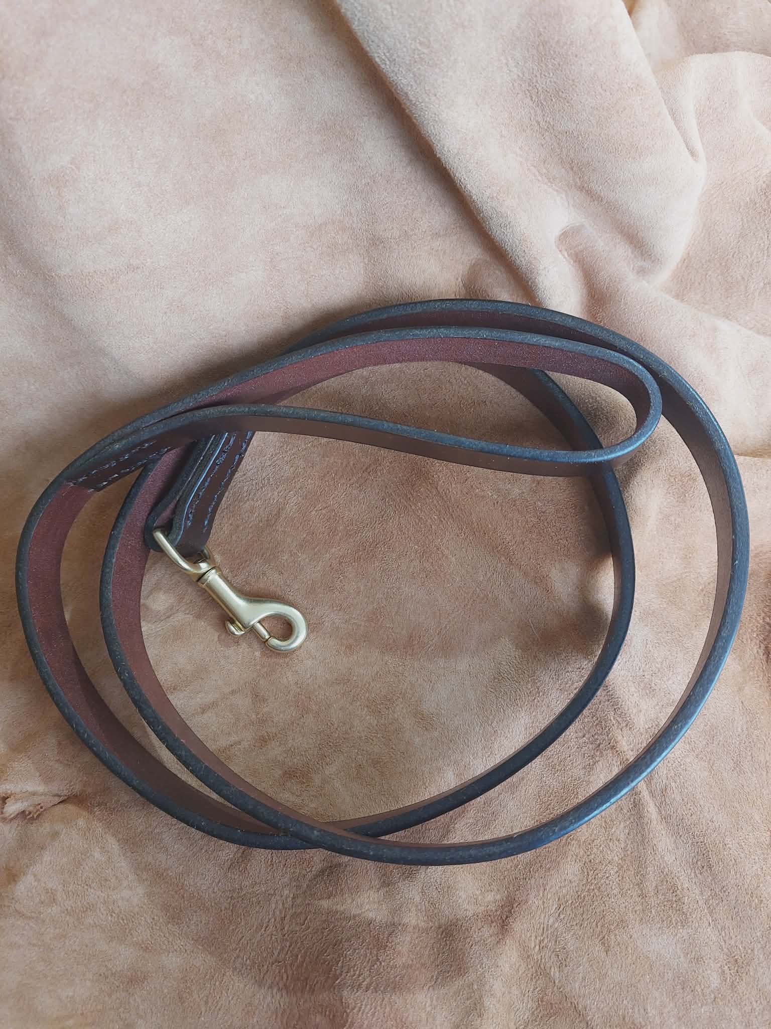 Dog leash